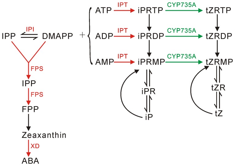 Figure 7