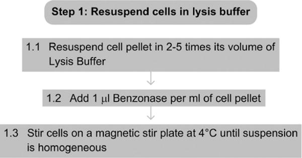 Figure 4.2