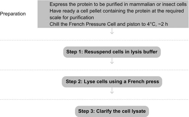 Figure 4.1