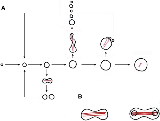 Figure 2.