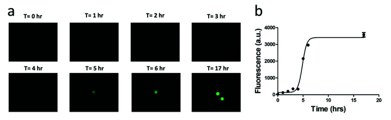 Figure 9