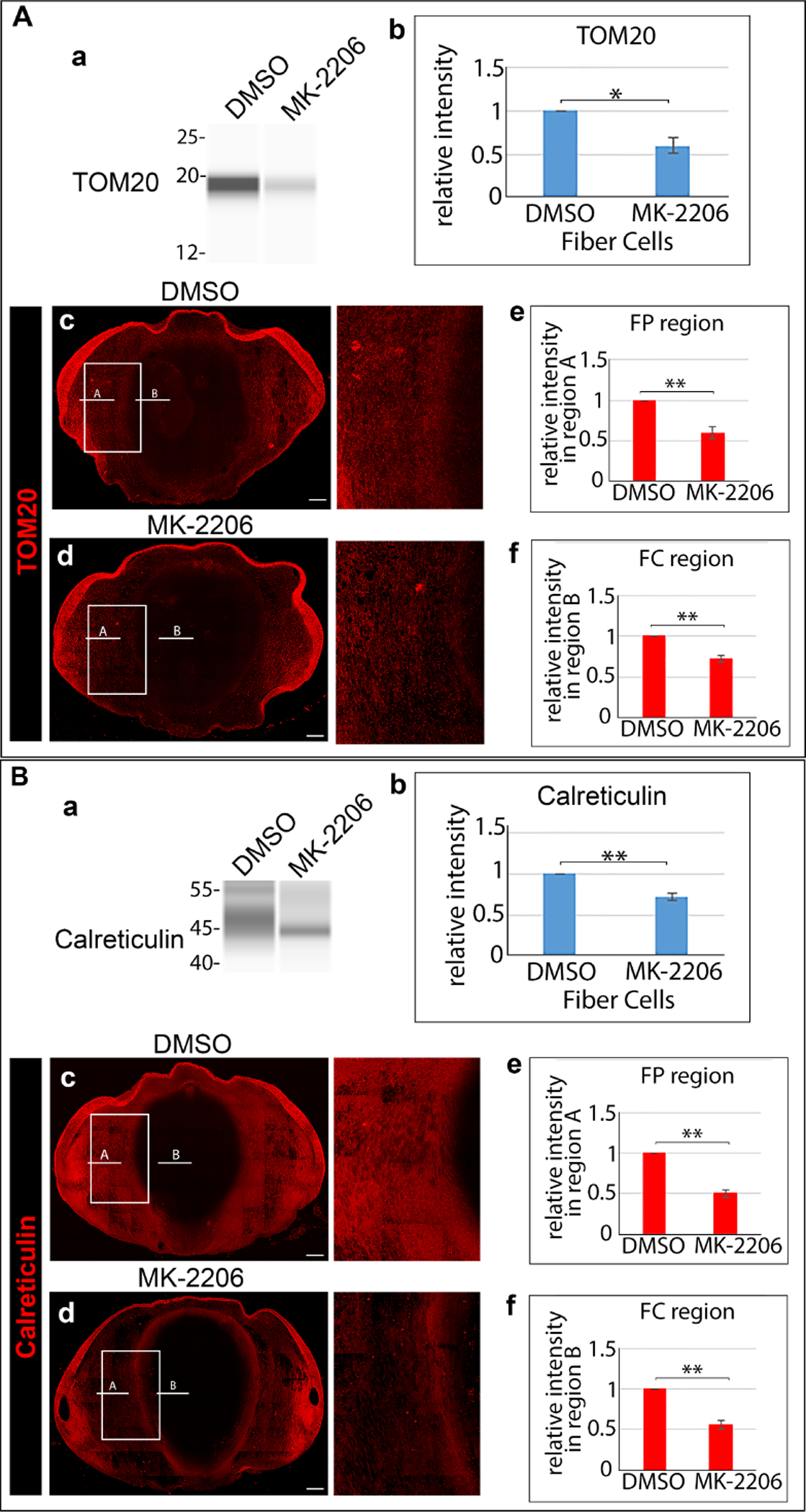 Figure 11.