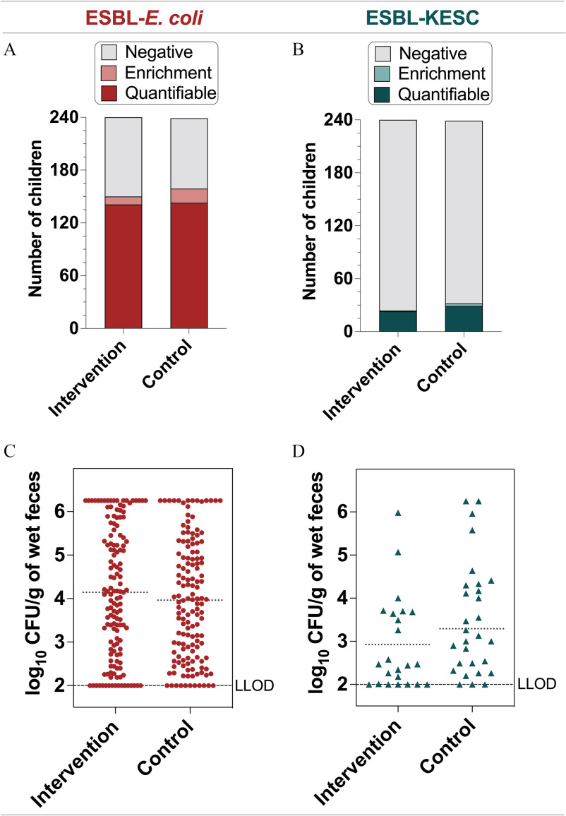 Figures 1A and 1B are bar graphs titled Extended-spectrum beta-lactamase-producing Escherichia coli and Extended-spectrum beta-lactamase-producing Klebsiella spp., Enterobacter spp., Shigella spp., and Citrobacter spp., plotting number of children ranging from 0 to 240 in increments of 60 (y-axis) across intervention and control (x-axis) for Negative, Enrichment, and Quantifiable. Figures 1C and 1D are vertical scatter graphs, titled Extended-spectrum beta-lactamase-producing Escherichia coli and Extended-spectrum beta-lactamase-producing Klebsiella spp., Enterobacter spp., Shigella spp., and Citrobacter spp., plotting log to the base 10 of colony forming units per gram of wet feces, ranging from 2 to 6 in unit increment, where 2 is the lower limit of detection (y-axis) across intervention and control (x-axis).