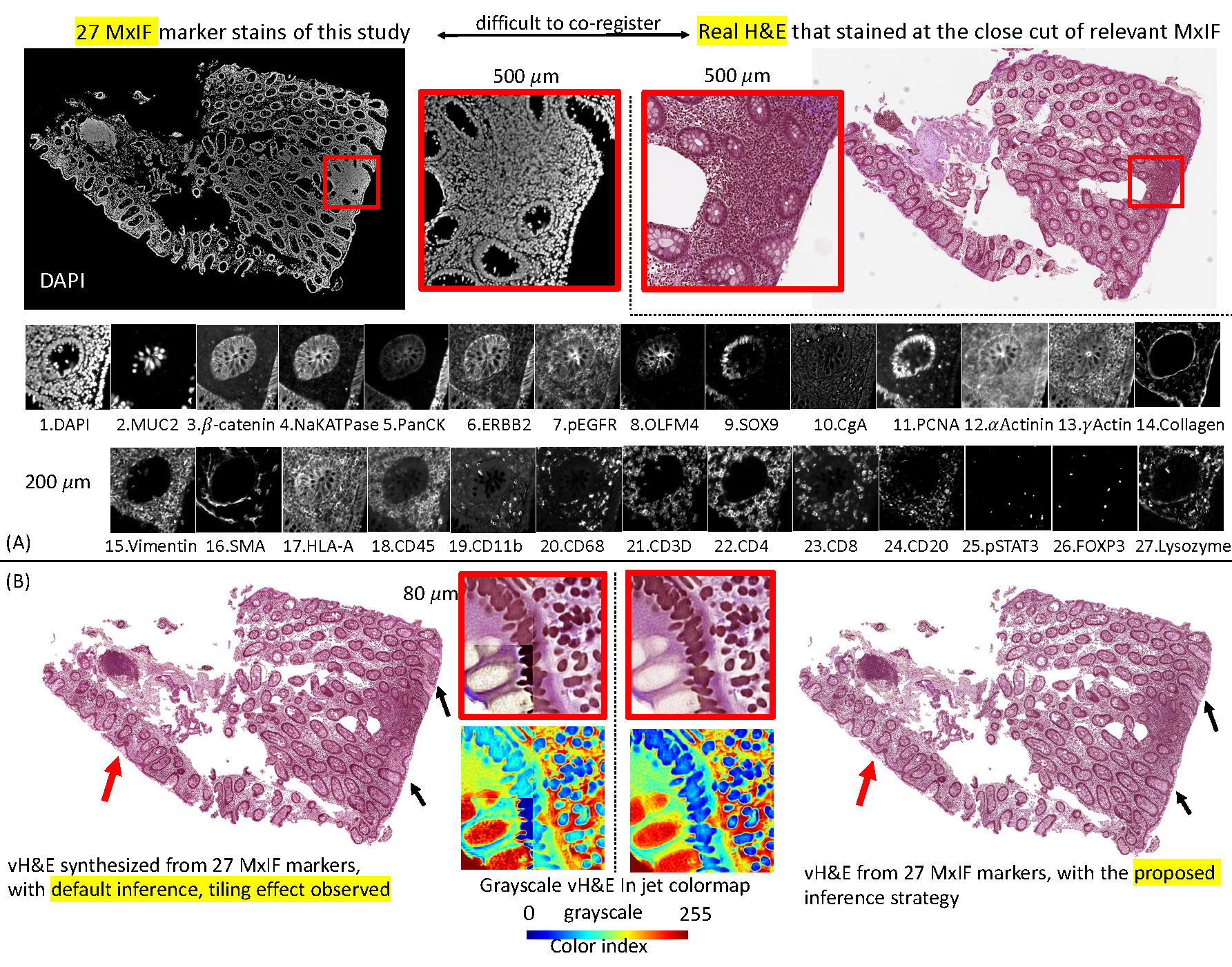 Figure 1: