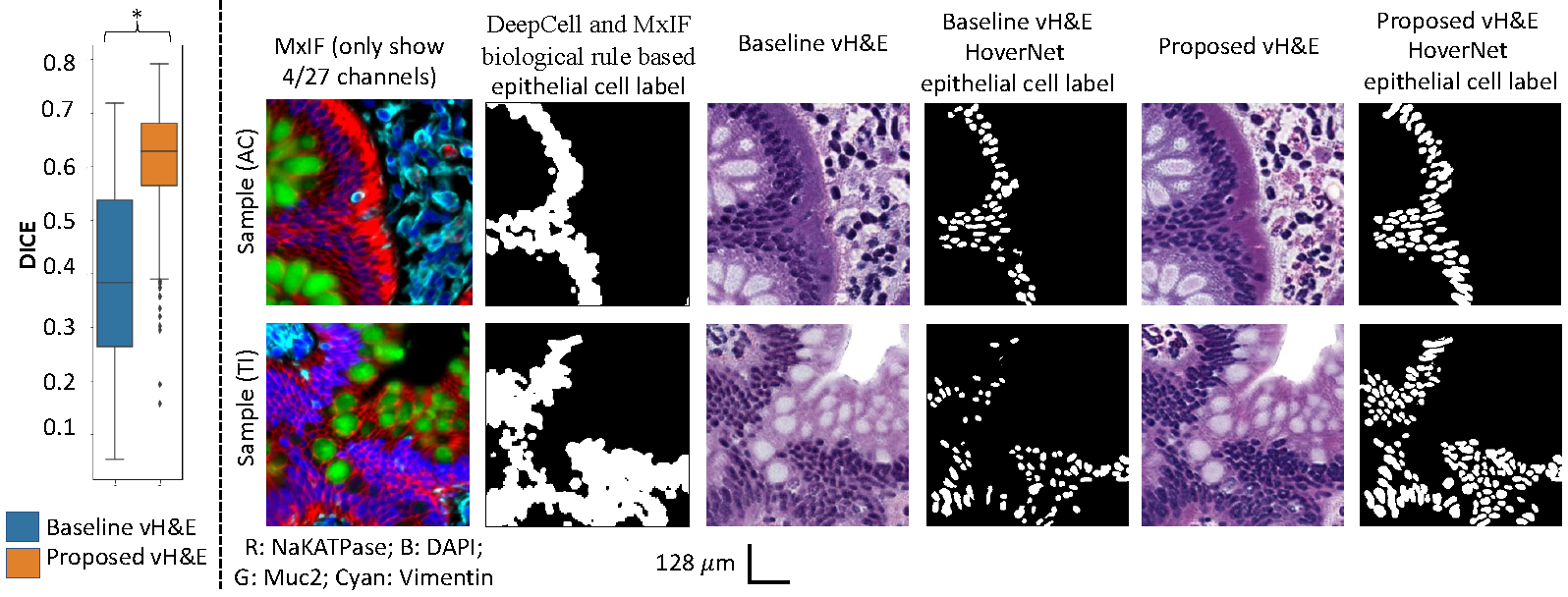 Figure 5: