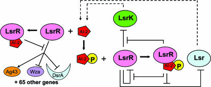 FIG. 6.