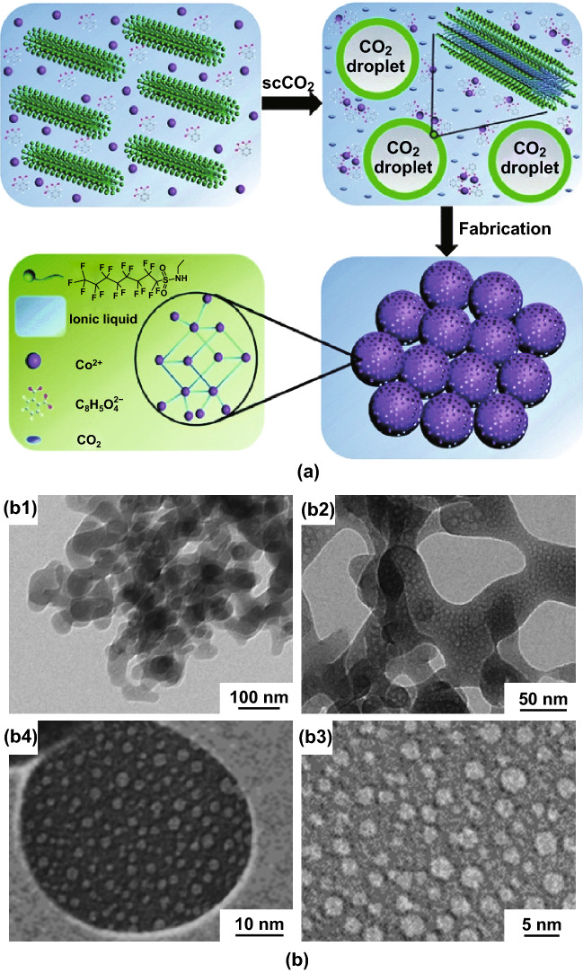 Fig. 17