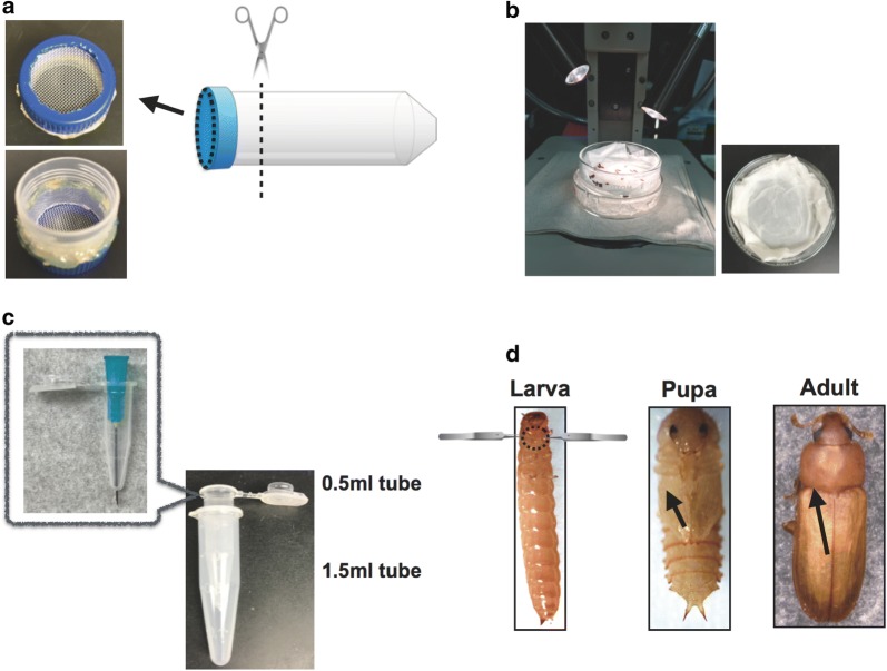 Fig. 1