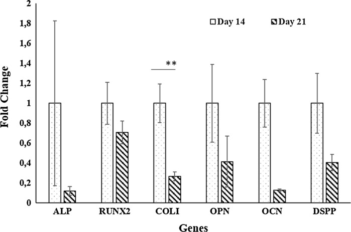 Fig. 7