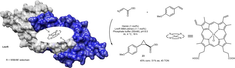 Scheme 14