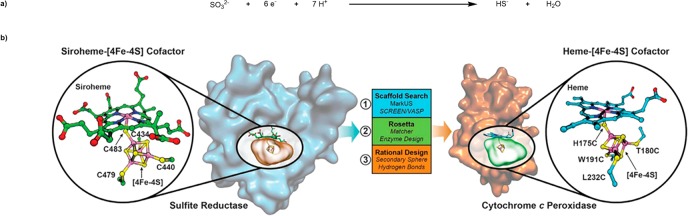 Scheme 5