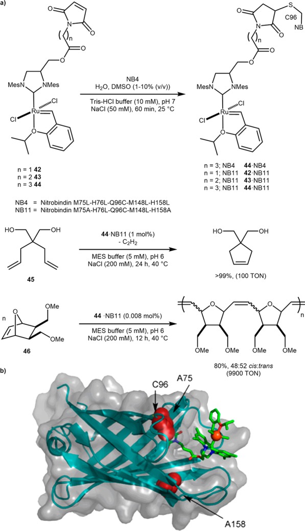 Scheme 20