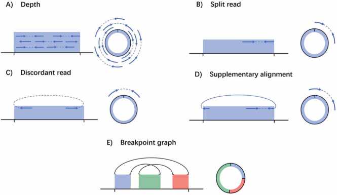 Fig. 2