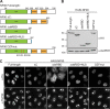 FIG 4