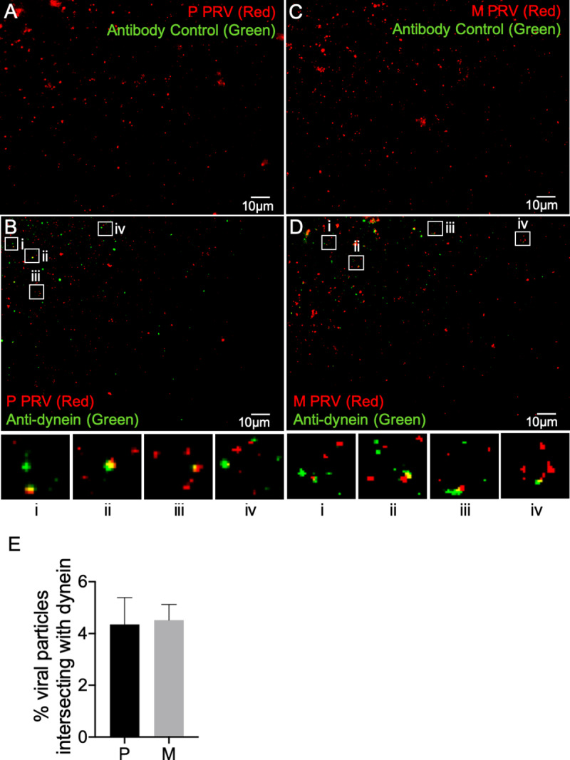 Fig 8