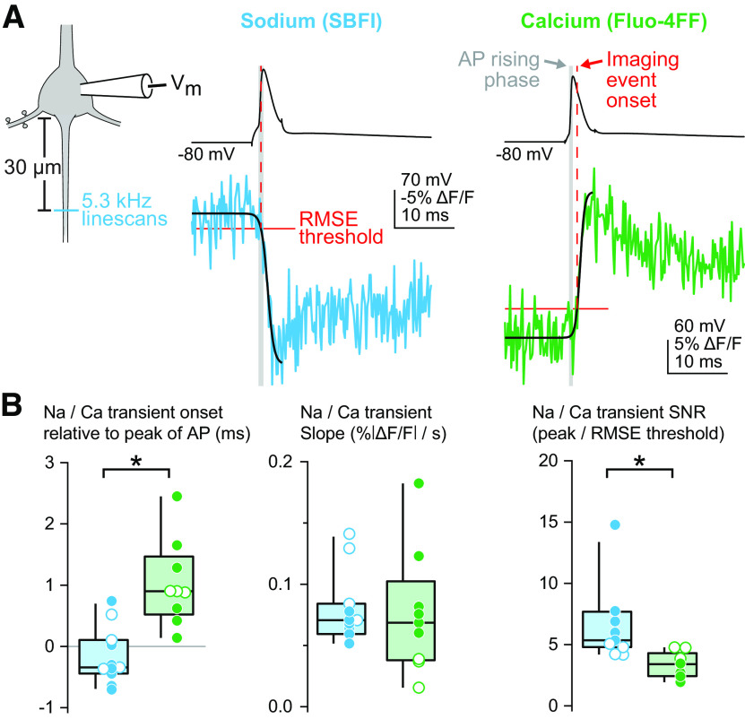 Figure 5.