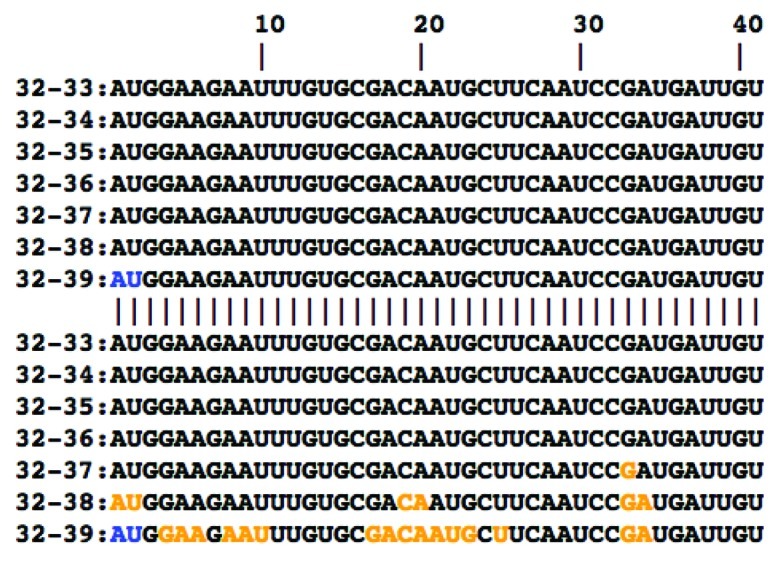 graphic file with name rna-9-1266-g1.jpg