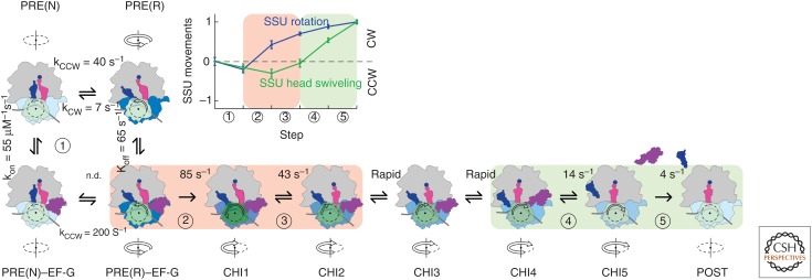 Figure 5.