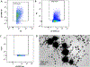 Fig. 3.