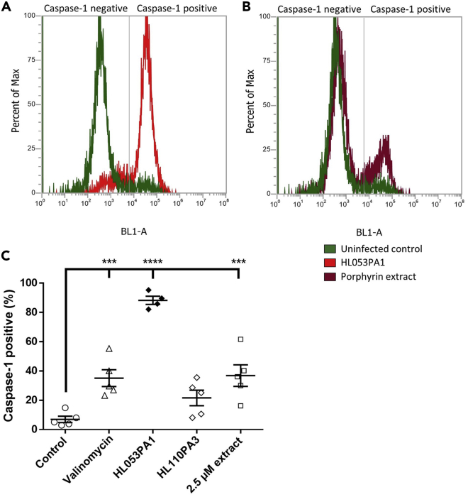 Figure 3