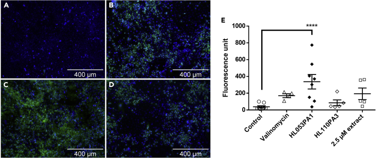 Figure 2