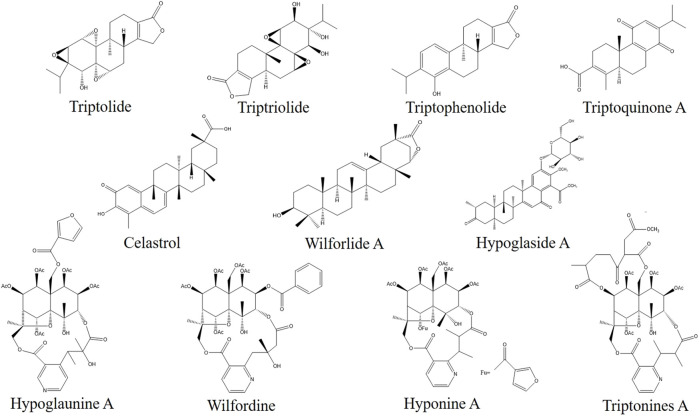 FIGURE 3