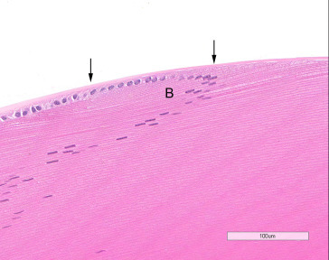 Figure 16.7