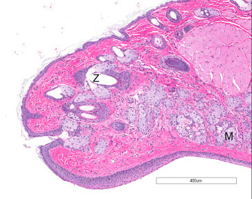 Figure 16.9