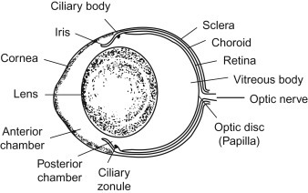 Figure 16.4