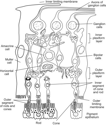 Figure 16.6