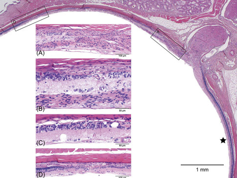 Figure 16.24