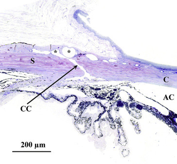 Figure 16.12