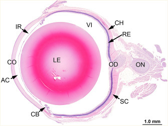 Figure 16.3