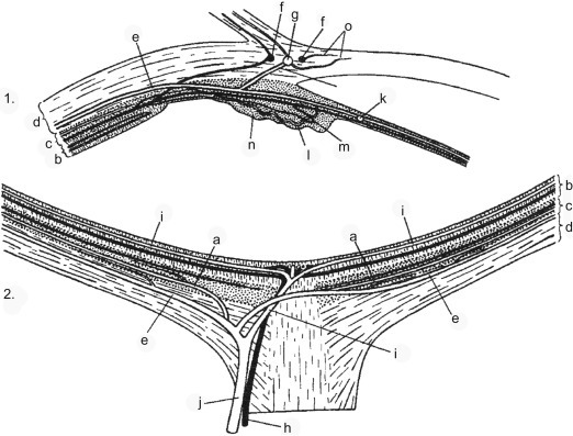 Figure 16.8