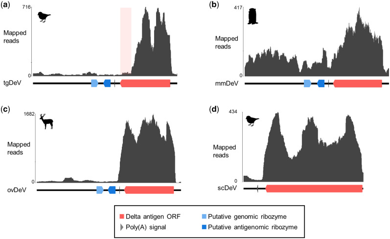 Figure 3.