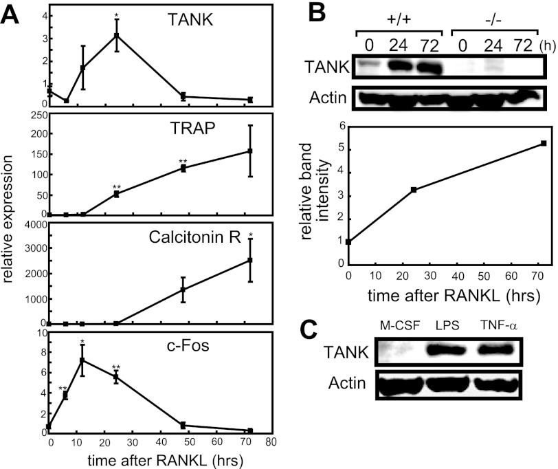 FIGURE 1.