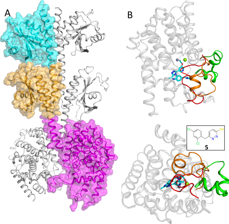 Figure 2