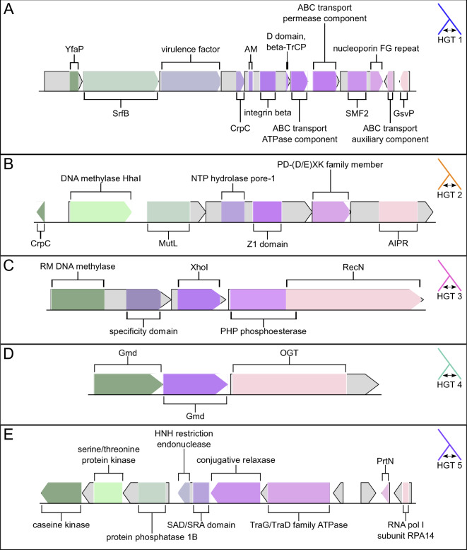 Fig. 4.