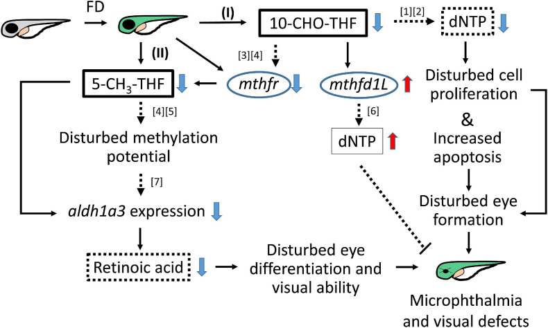 FIGURE 11