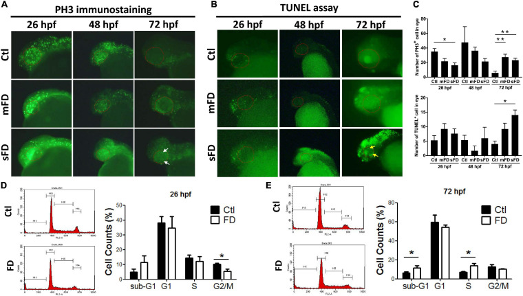 FIGURE 3