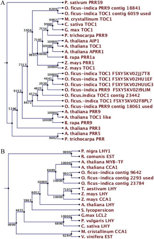 Figure 4.