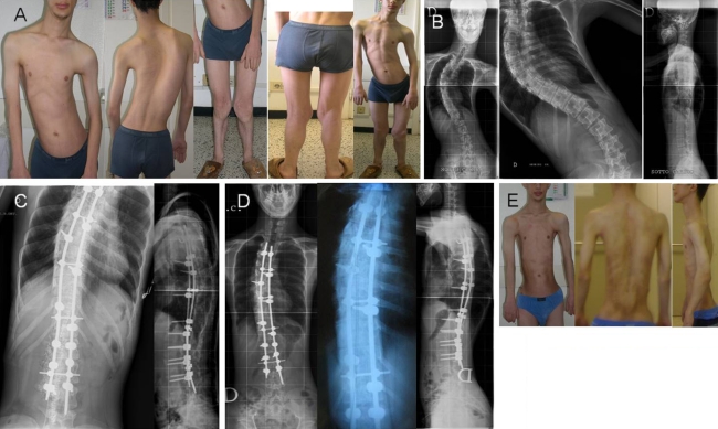 Fig. 2