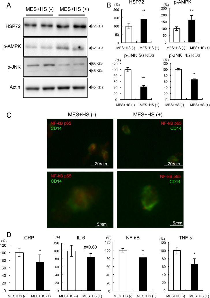 Fig. 4