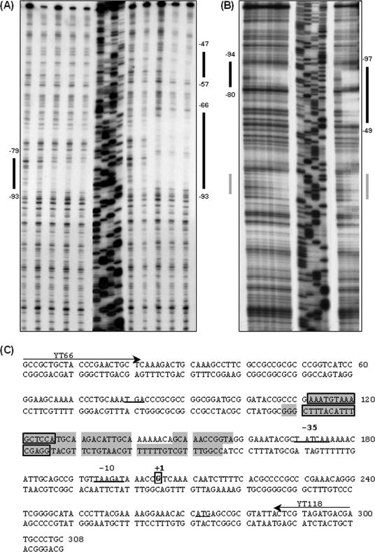 FIG. 7.