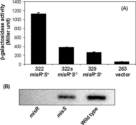 FIG. 6.