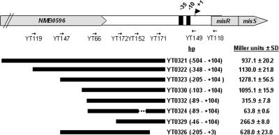 FIG. 3.