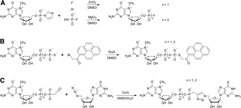 Fig. 10