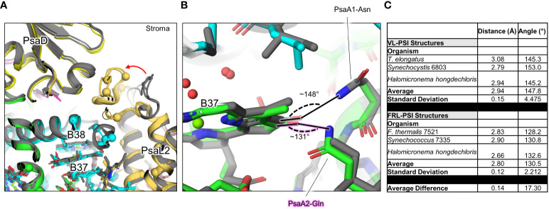 Figure 7