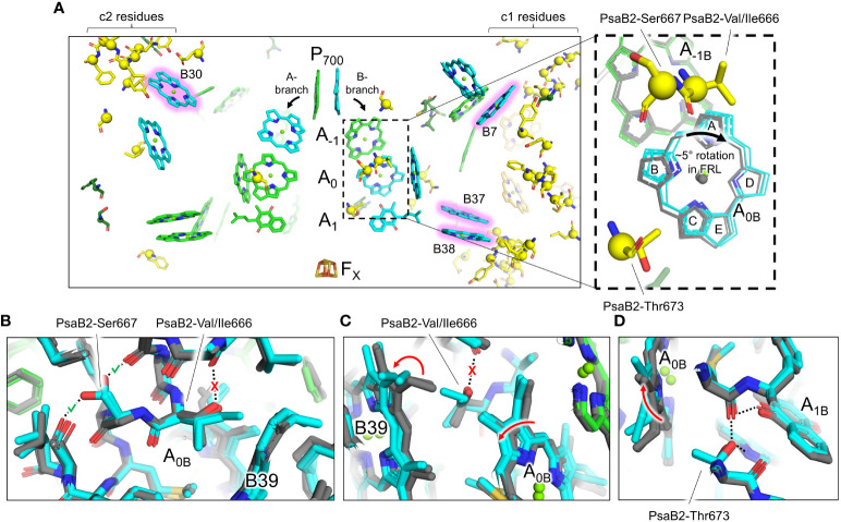 Figure 6