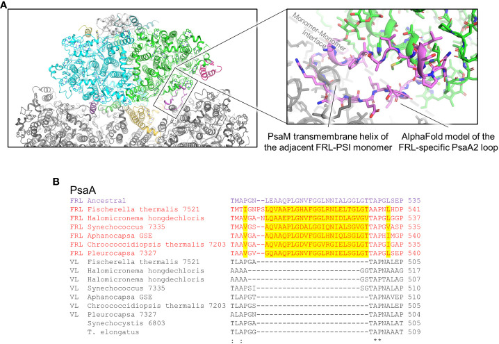 Figure 9